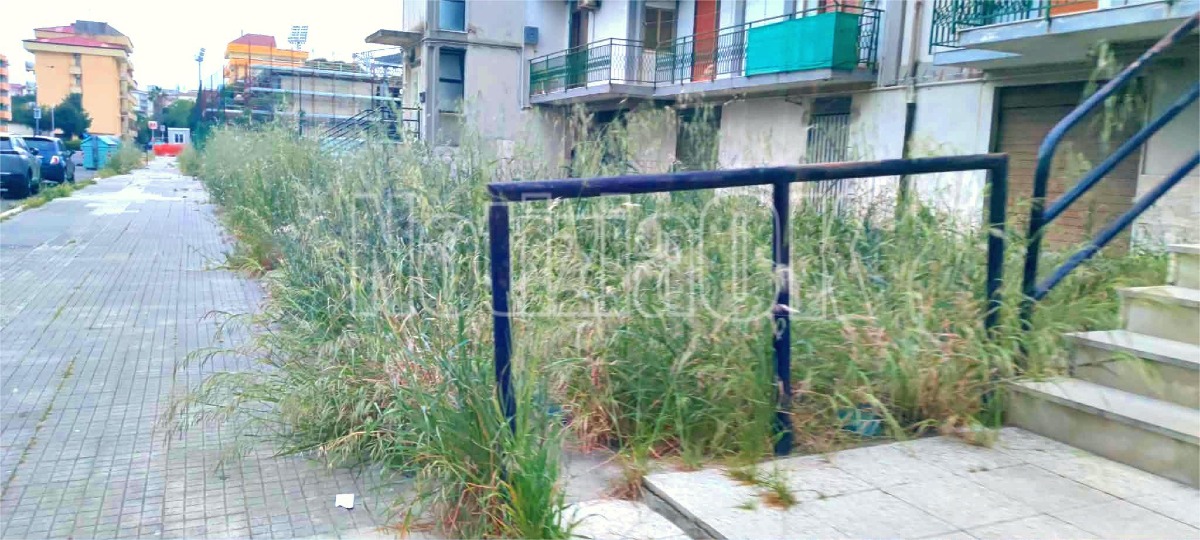 Nei Quartieri di Crotone - L'erba del vicino è sempre più verde in via Pirandello - Foto: Redazione