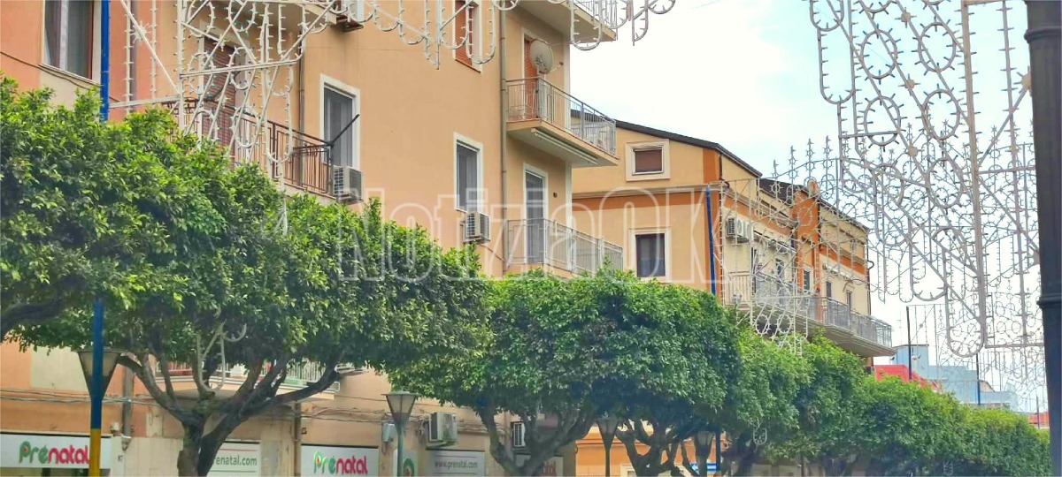 Crotone, residenti di via Poggioreale segnalano potature incomplete - Foto: Redazione