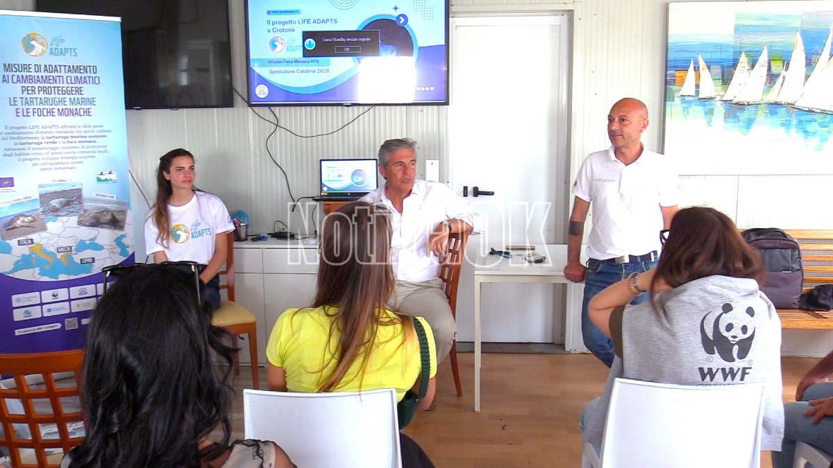 (VIDEO) Foca monaca, spedizione di dieci giorni lungo la costa crotonese - Foto: Redazione 