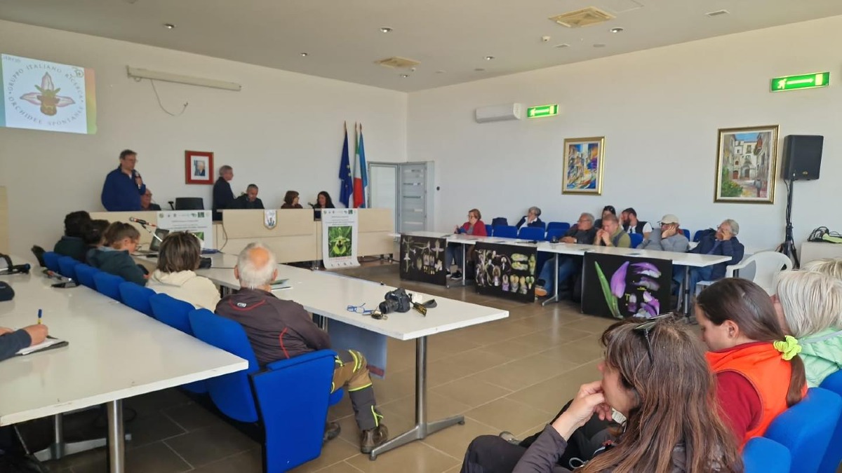 Cassano all’Ionio, successo per orchidee spontanee e speleologia - Foto: Uff. Stampa Comune di Cassano all’Ionio