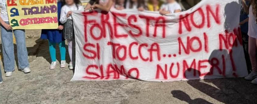 Petilia Policastro - Foresta rischia di perdere la prima media, si mobilita la città - Foto: Ufficio stampa Comune di Petilia Policastro