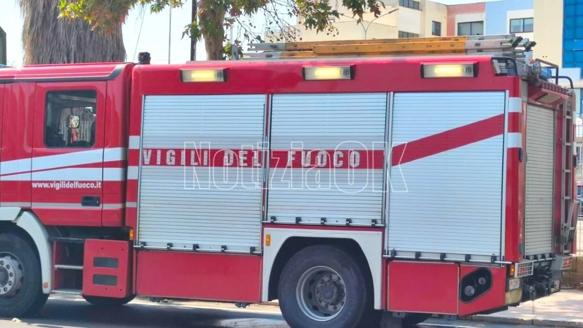 Incendio distrugge parte di Orocarni, vicinanza da Cropani - Foto: Redazione 
