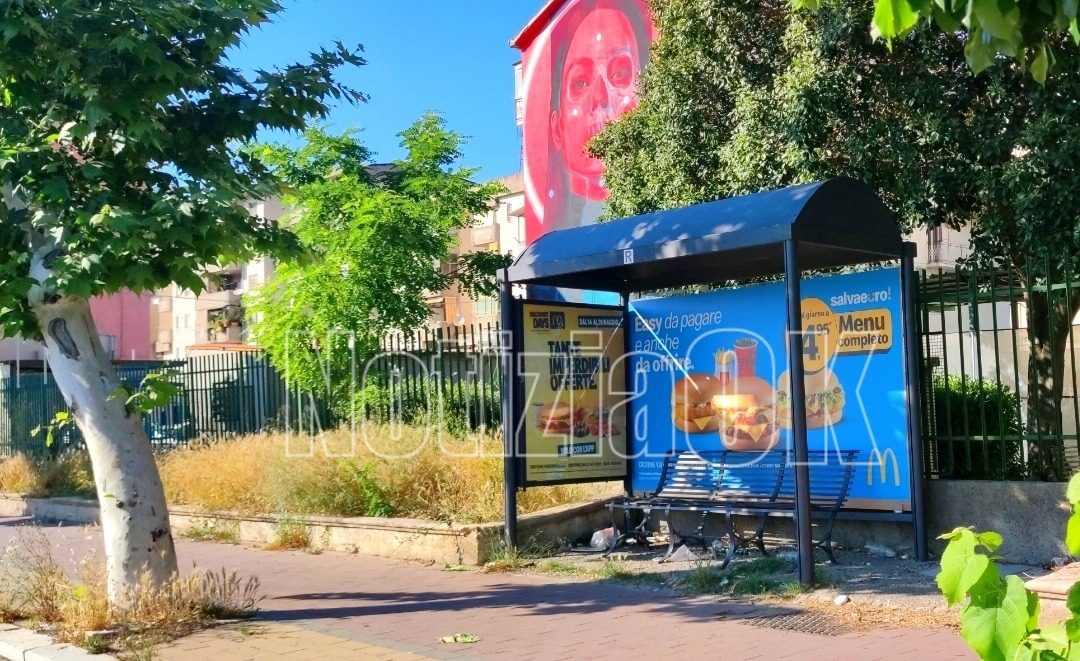 Nei Quartieri di Crotone - Via Gioacchino da Fiore tra degrado e incuria - Foto: Redazione 