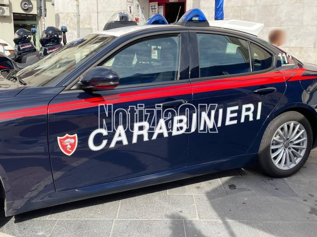 Controlli dei carabinieri nel Marchesato: denunce e sequestri tra Petilia e Roccabernarda - Fonte: Redazione 