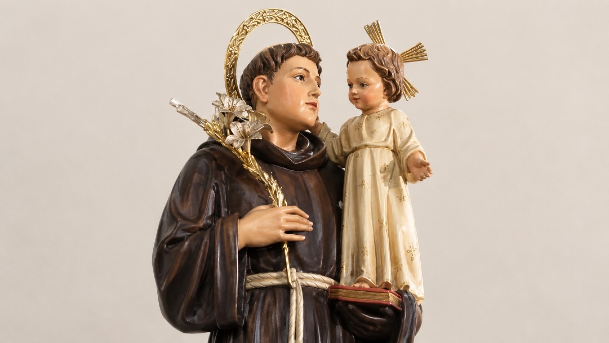 Catanzaro, al via il cammino con Sant’Antonio di Padova: dal 31 maggio la Tredicina di preghiera - 
