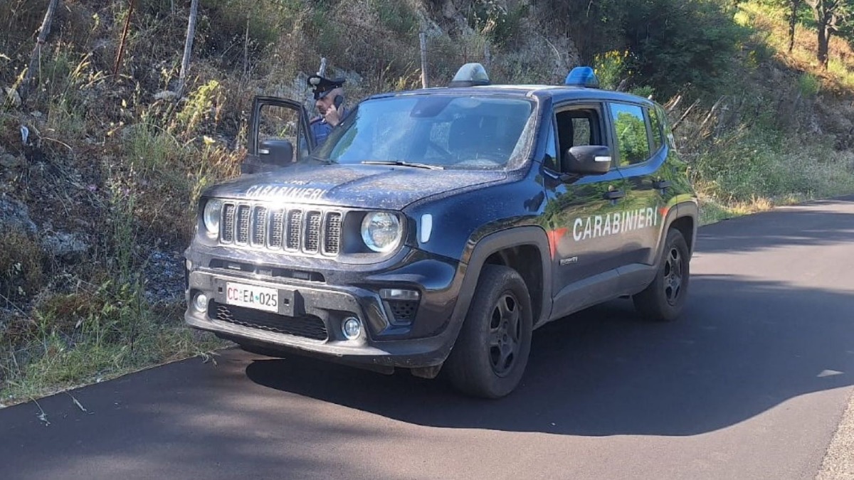 Petronà, brucia sterpaglie a ridosso della provinciale: pensionato multato dai Carabinieri - Foto: Uff. Stampa Carabinieri Catanzaro 