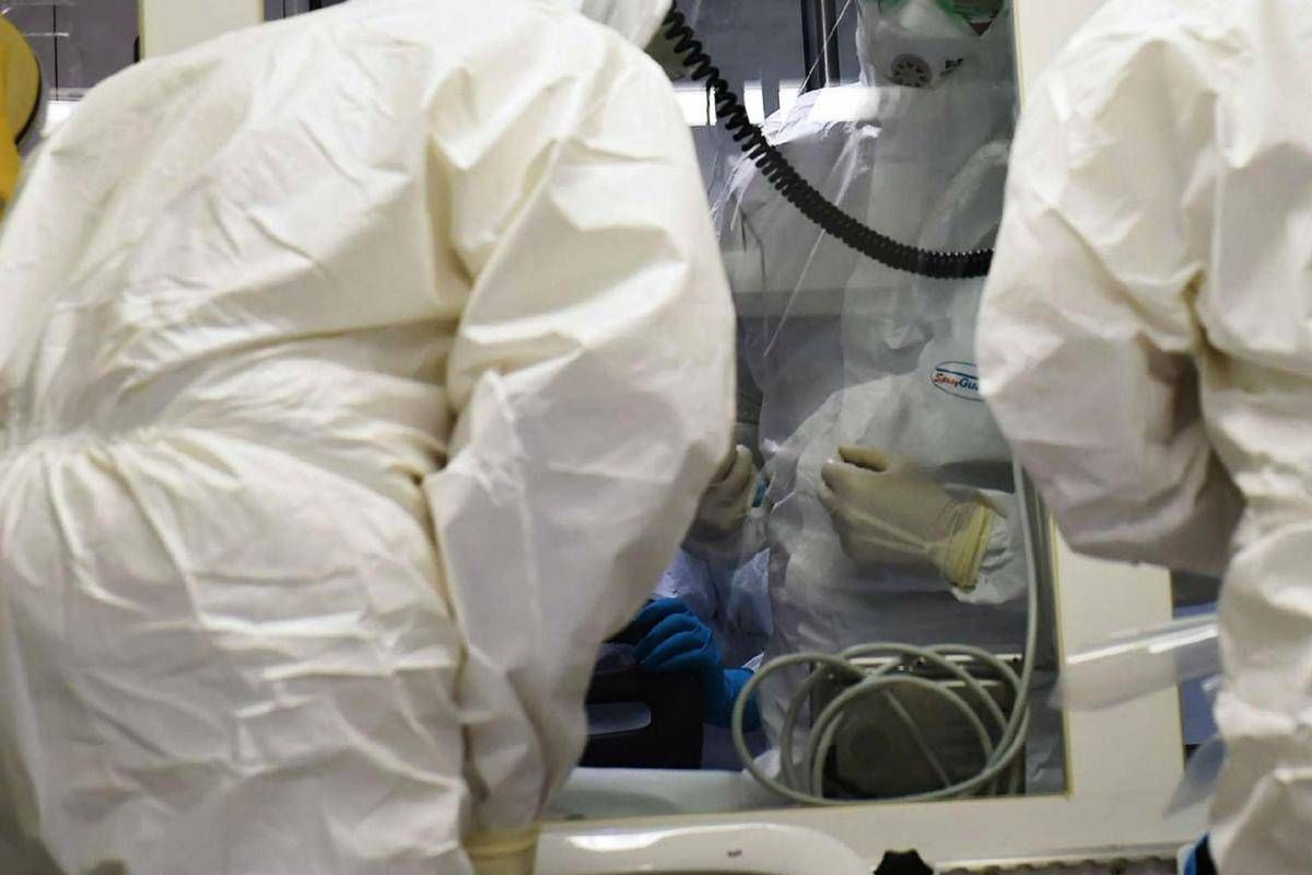 Ebola, la conferma di un focolaio in Congo: "246 casi sospetti e 65 morti" - 