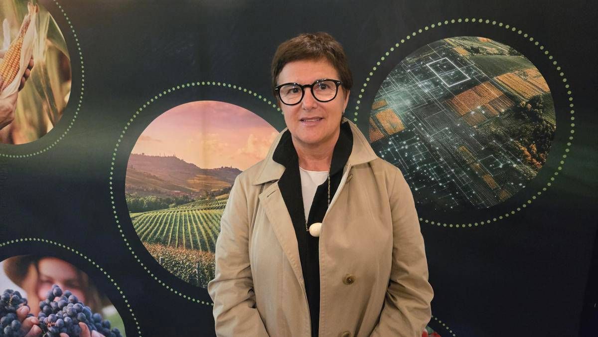 Agricoltura, Forattini (Pd): "Non possiamo lasciare gli agricoltori a mani nude" - 