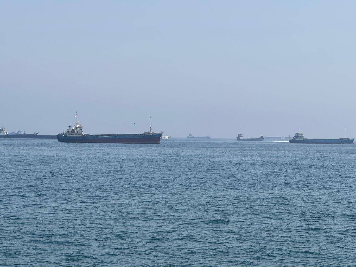 Non solo petrolio, la guerra tra Iran e Usa blocca i pistacchi: stop all'export - 