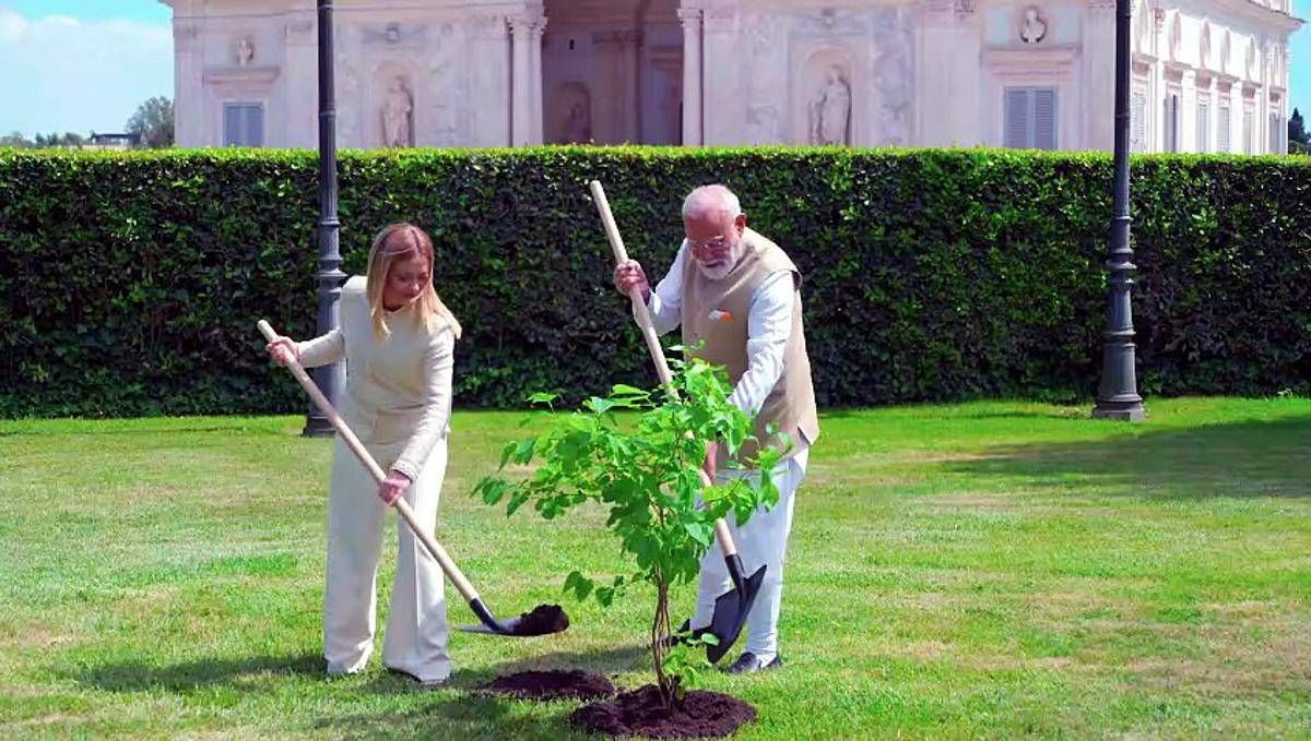 Meloni e Modi piantano gelso a Villa Pamphilj: "Simbolo di amicizia" - 