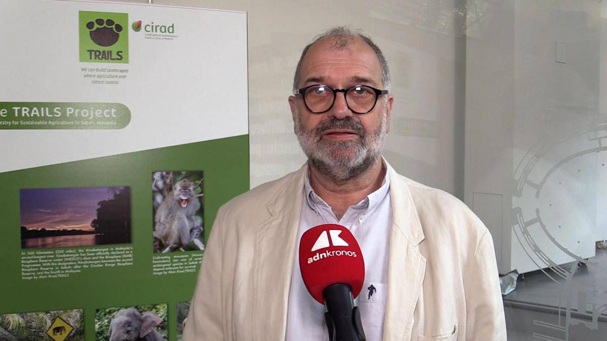 Sostenibilità, Rival (Cirad): "Con Trails integrazione tra foreste e palma da olio" - 