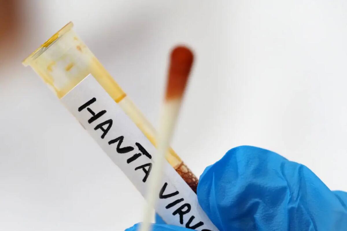 Hantavirus, parla la sindaca di Villa San Giovanni: “Il 25enne in quarantena sta bene, non ha sintomi” - 