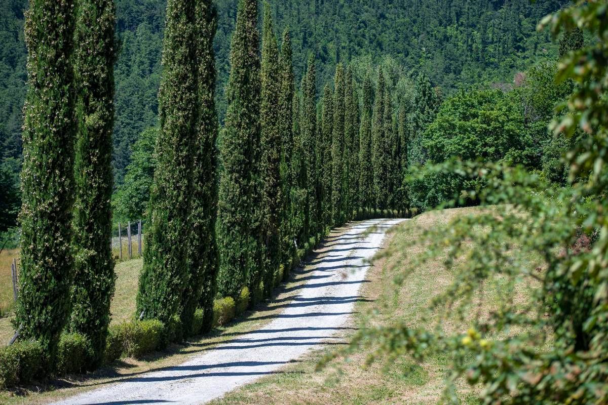 Sostenibilità, tenuta Acqua Panna habitat ideale di 121 specie di vertebrati e piante - 