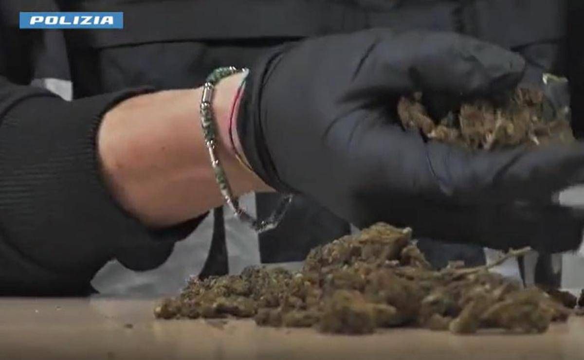 Maxi operazione della polizia: 1.335 arresti, sequestrati 450 kg di droga - 