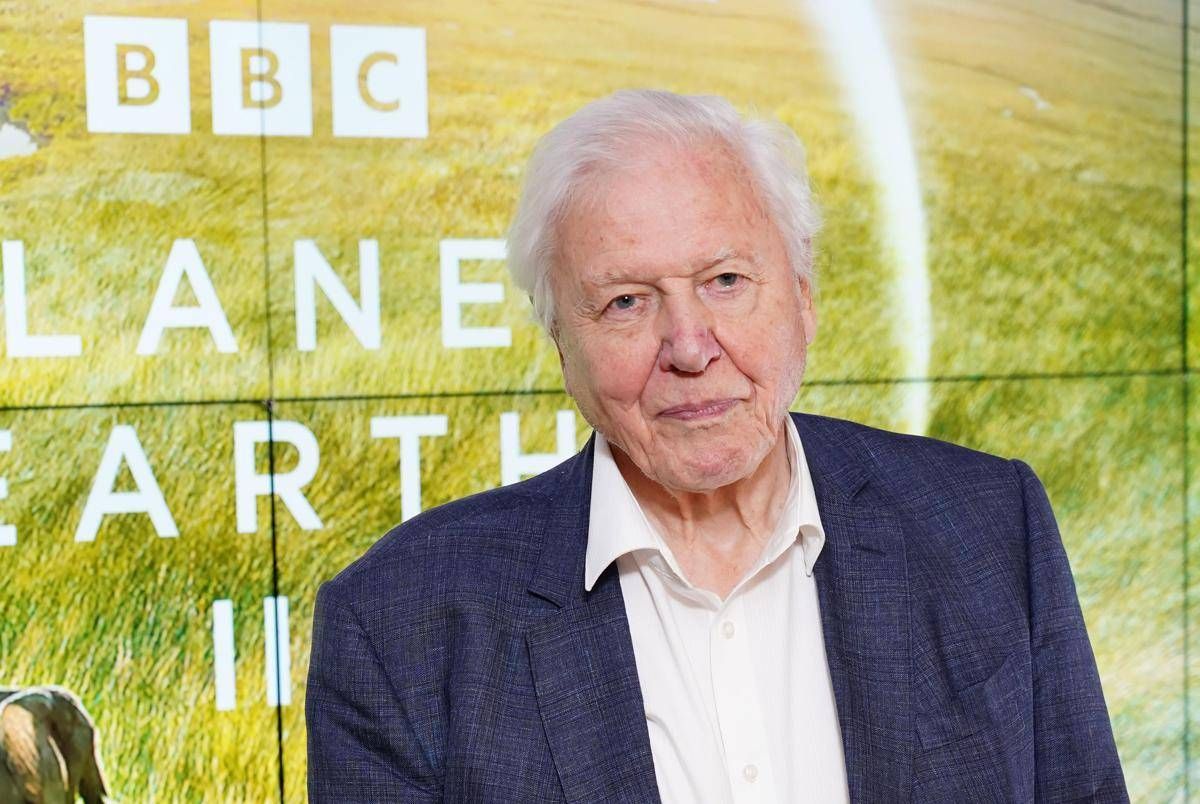 David Attenborough compie 100 anni e riceve un regalo speciale dal Museo di Storia Naturale - 