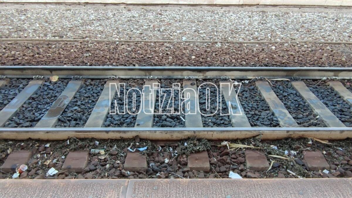 Treno della Sila fermo, Ferrovie in Calabria chiede chiarezza sul futuro  - Foto: Redazione