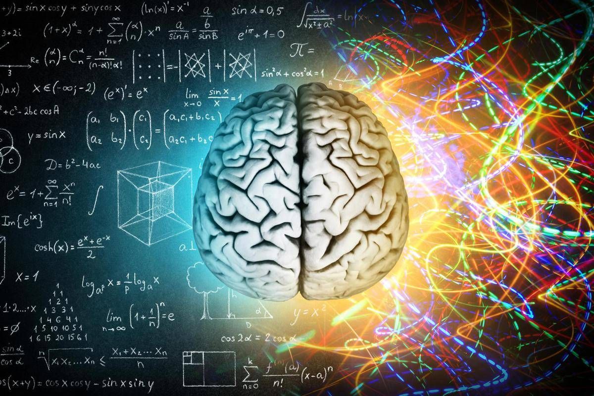 Milano, BrainSpace house per scoprire legame tra benessere di mente e cervello - 