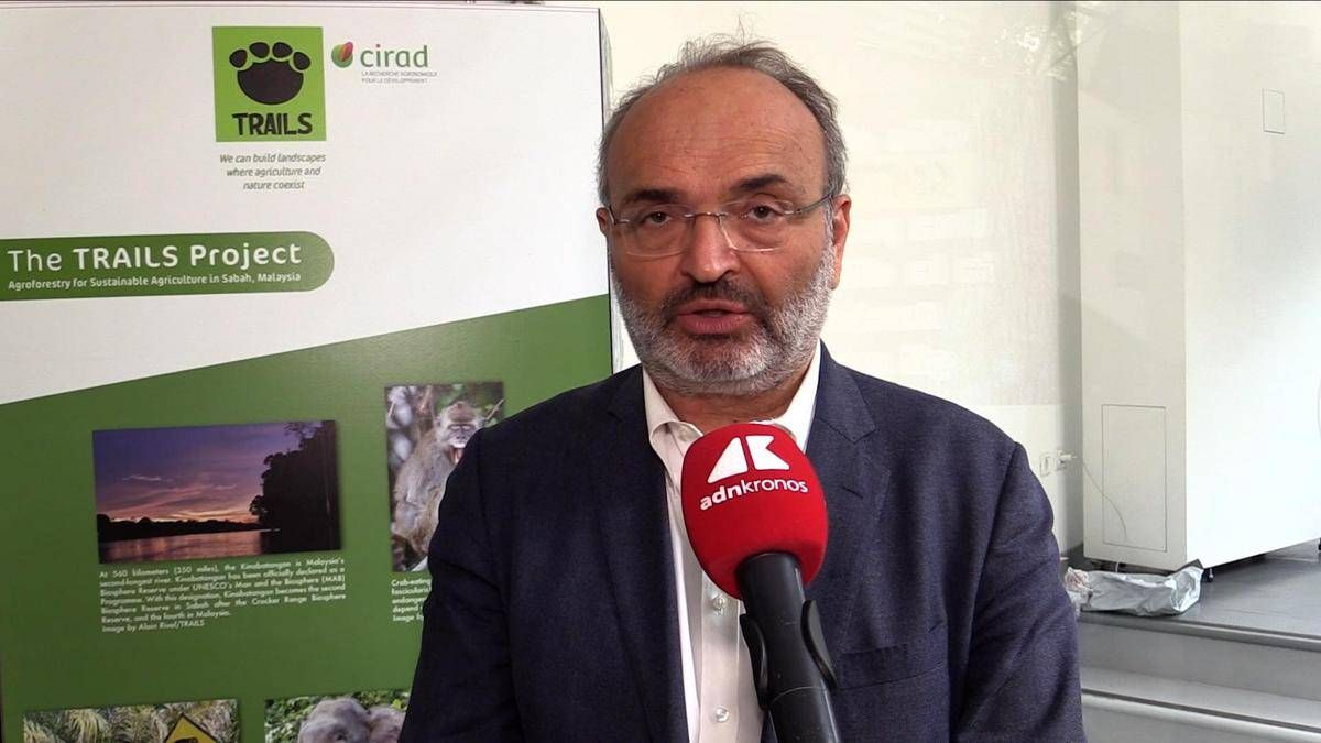 Sostenibilità, Pratesi (Eiis): "Nuove generazioni devono assumersi responsabilità" - 