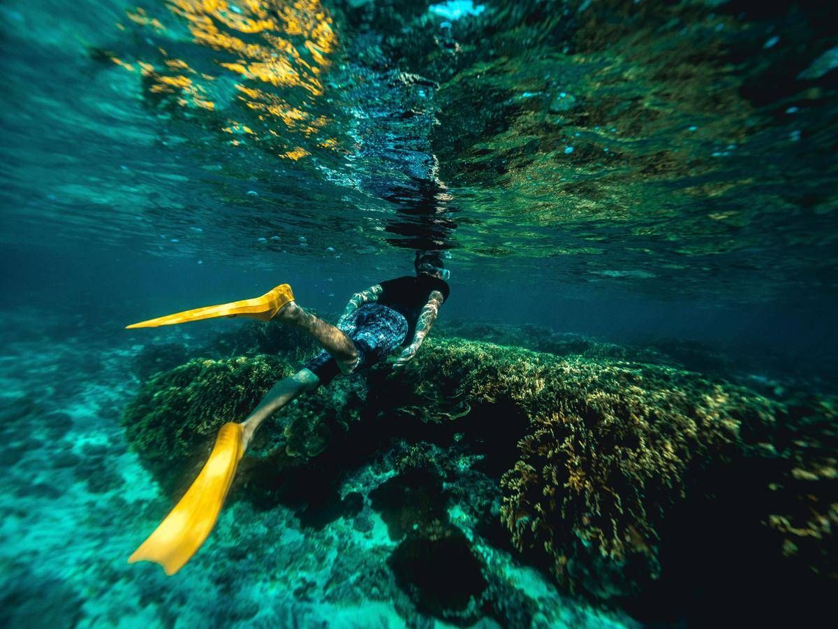 Italiani morti alle Maldive durante immersione, lo pneumologo: "Con concentrazioni elevate l’ossigeno diventa tossico" - 