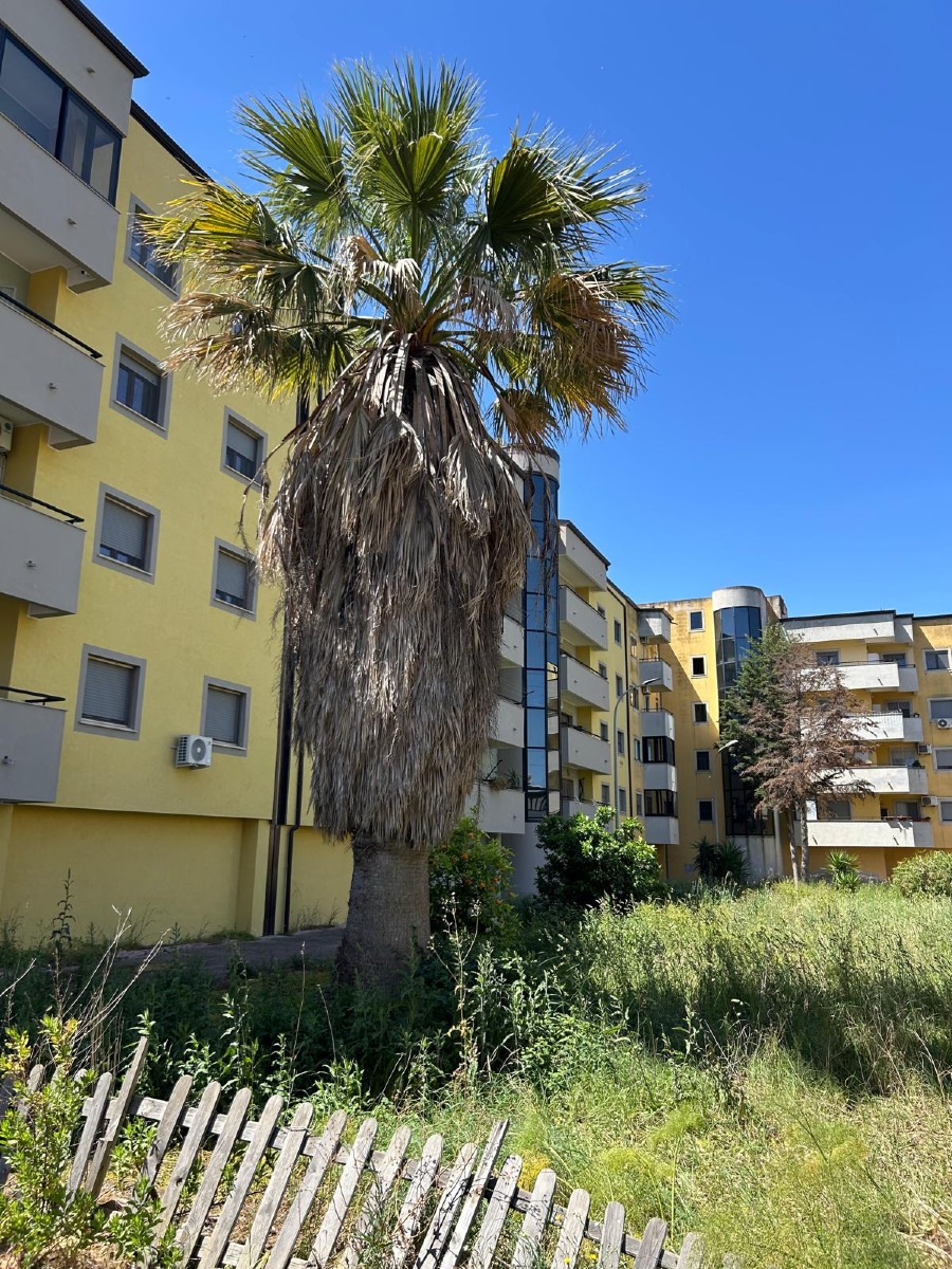 via Turchia - Crotone - Foto redazione 14.05.2026
