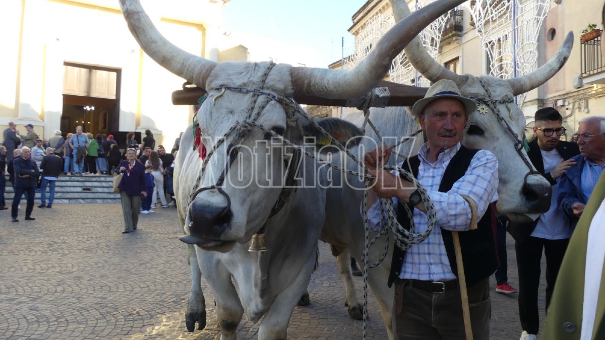 Buoi - Festa Madonna di Capo Colonna - Settennale (Foto Redazione 16.05.2026)
