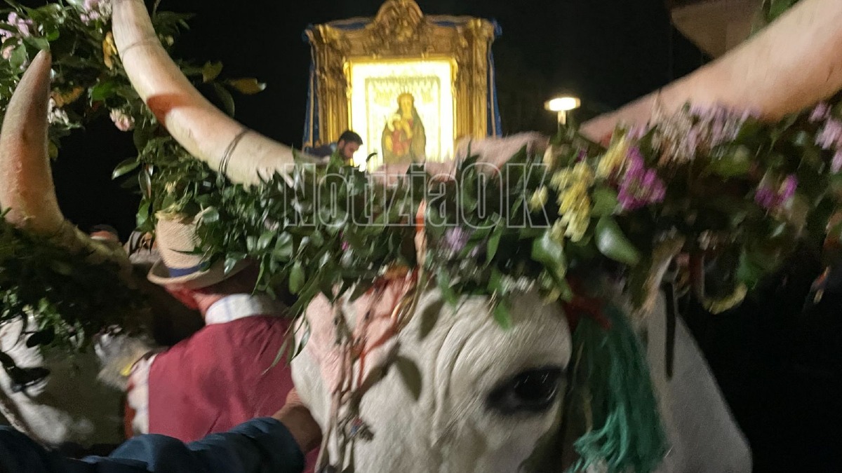 Pellegrinaggio di rientro Madonna do Capo Colonna - Settennale - Foto Redazione 18.05.2026