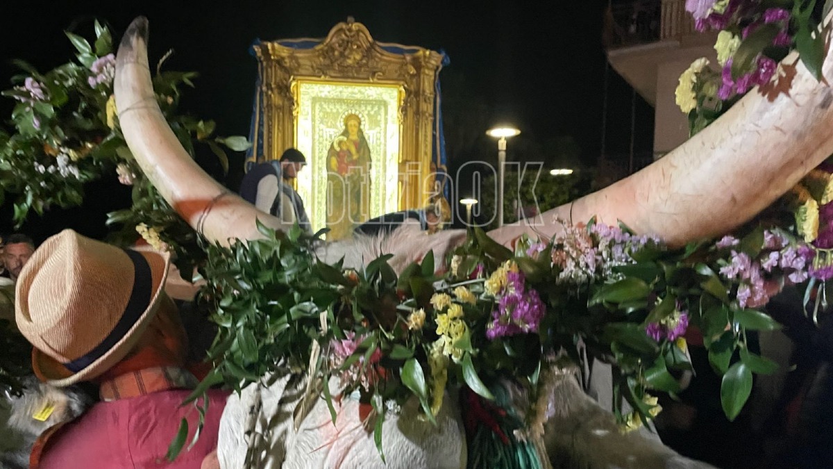 Pellegrinaggio di rientro Madonna do Capo Colonna - Settennale - Foto Redazione 18.05.2026