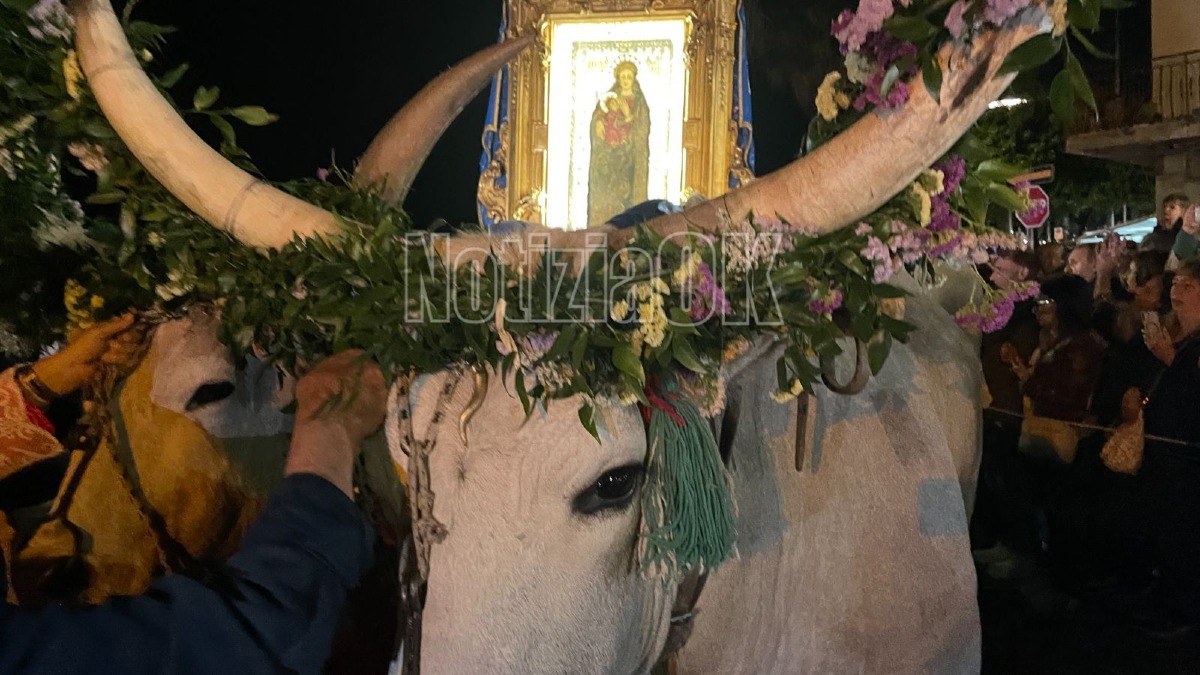 Pellegrinaggio di rientro Madonna do Capo Colonna - Settennale - Foto Redazione 18.05.2026