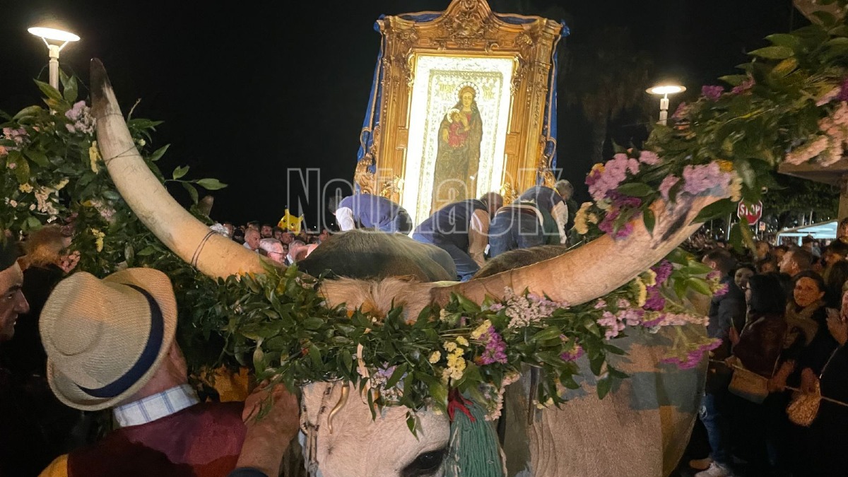 Pellegrinaggio di rientro Madonna do Capo Colonna - Settennale - Foto Redazione 18.05.2026