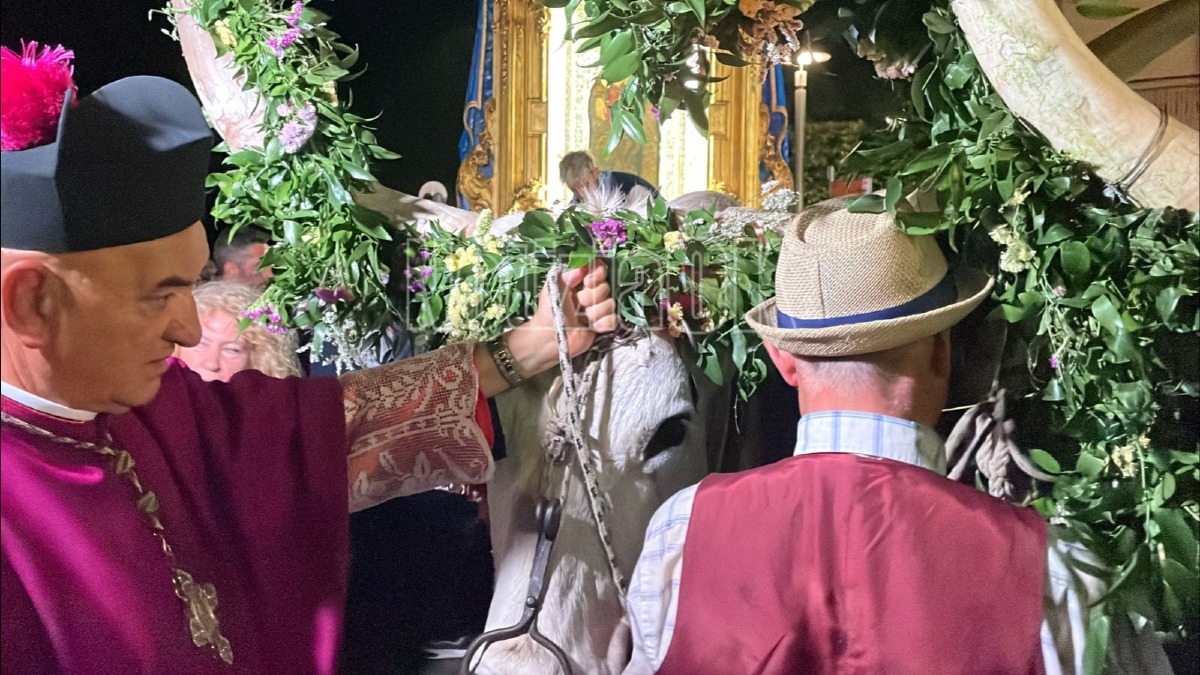 Pellegrinaggio di rientro Madonna do Capo Colonna - Settennale - Foto Redazione 18.05.2026