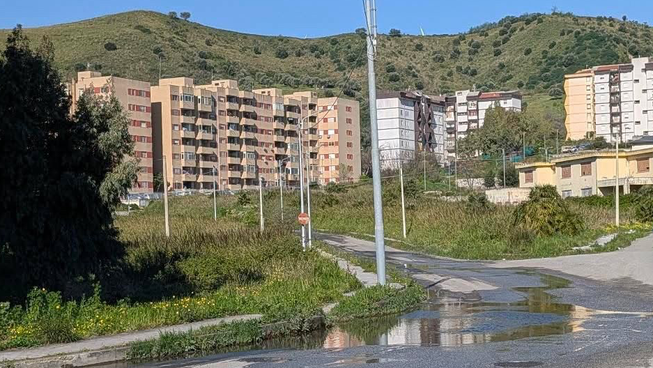 Catanzaro - Degrado e abbandono in viale Isonzo - Foto: Uff. Stampa Comune di Catanzaro