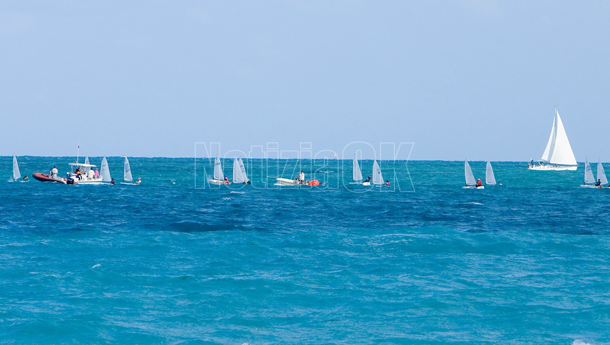 Club Velico Crotone, successo per il Vela Day 2026 - Foto: Redazione 