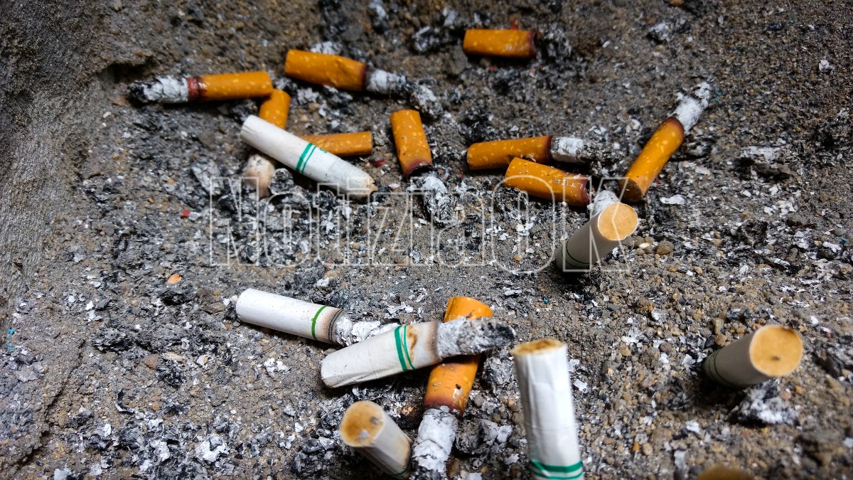Catanzaro e Cosenza: nel weekend sei appuntamenti Plastic Free contro i mozziconi  - Foto: Redazione