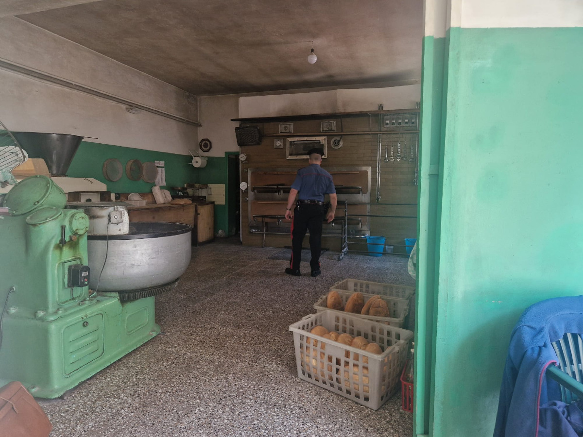 Sellia Marina - Gravi carenze igieniche, multa a un panificio - Foto: Comando provinciale Carabinieri di Catanzaro