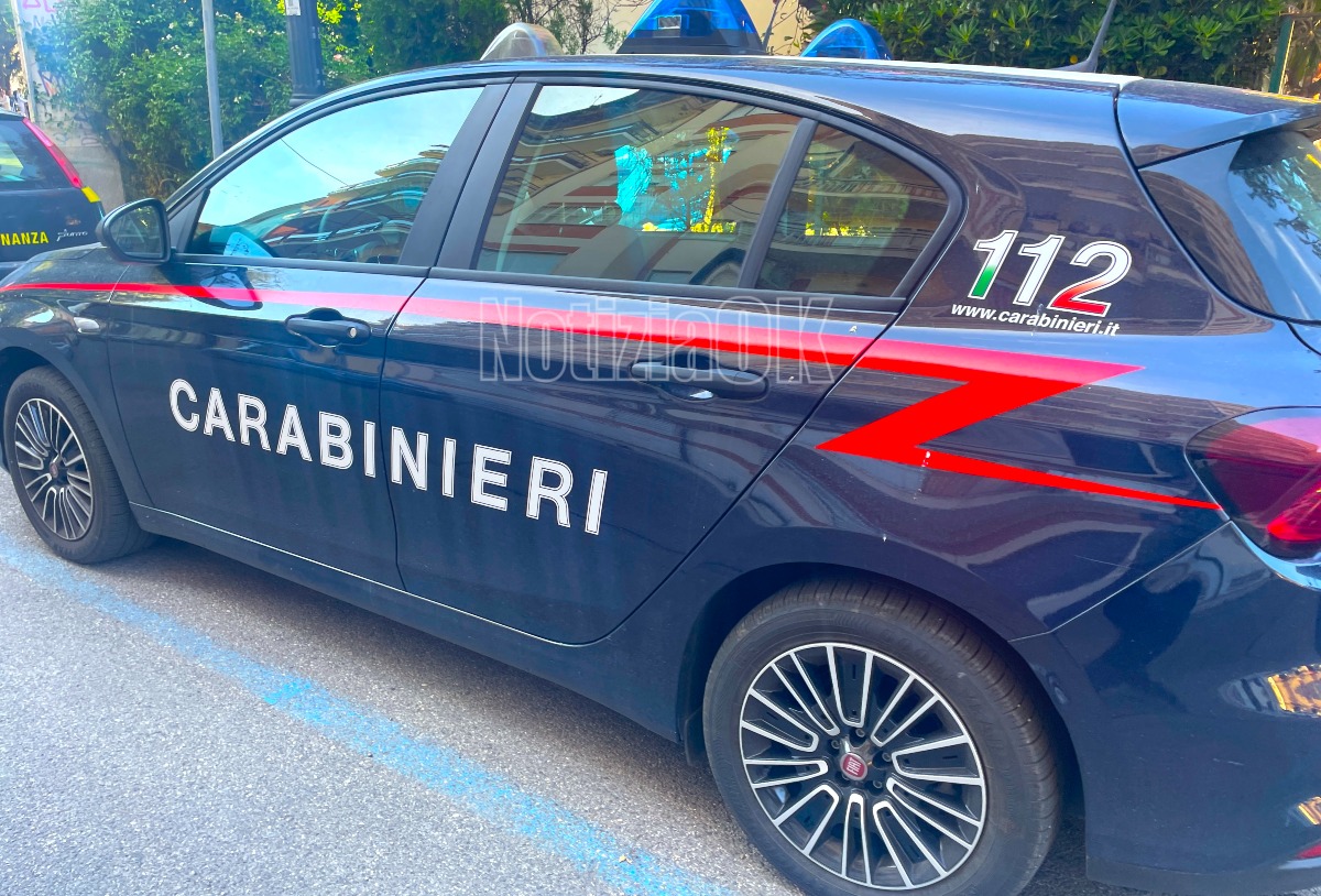 Operazione “Smile”, sei arresti tra Rosarno e Cosenza per droga - Foto: Redazione 