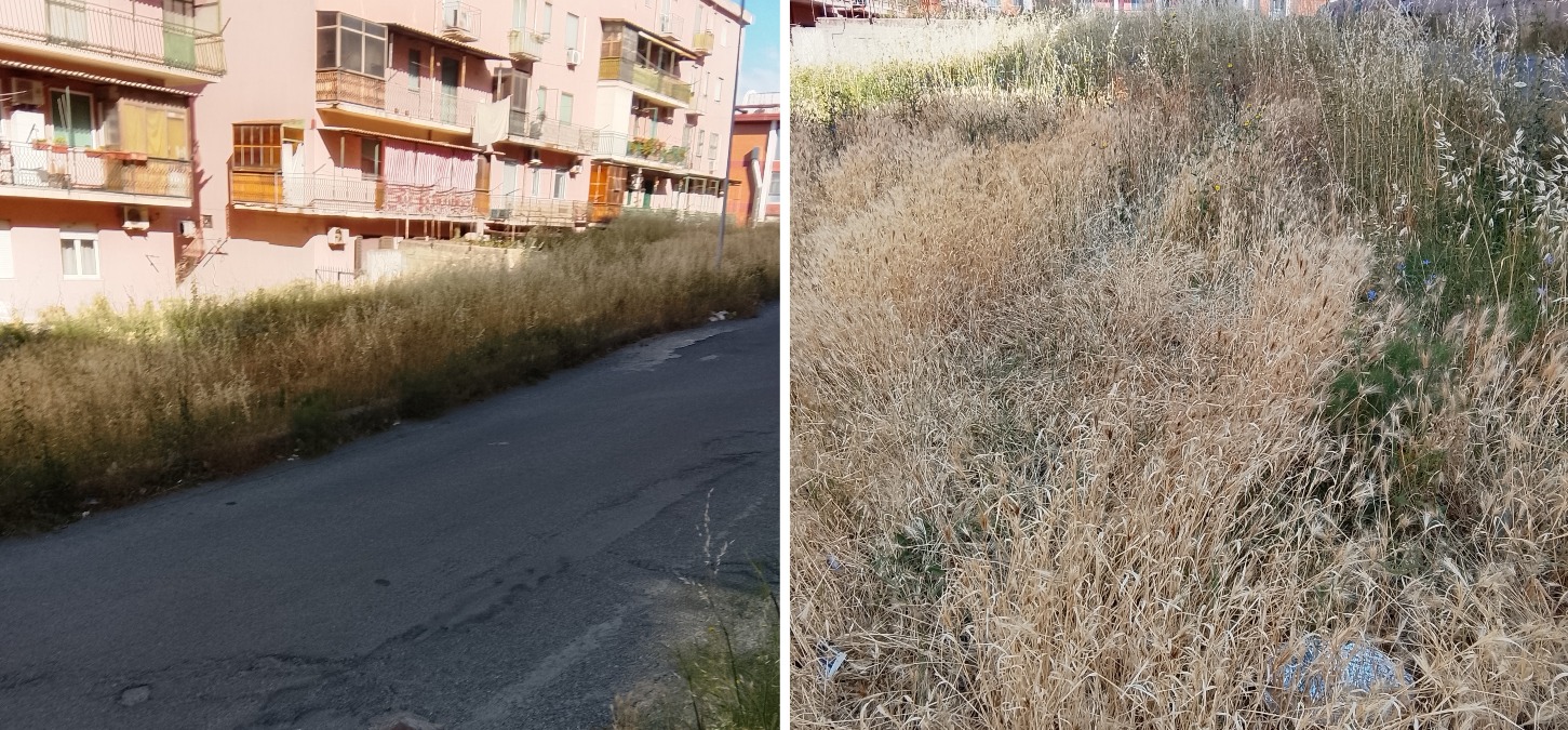 Crotone - Via degli Aragonesi nel degrado, Gaetano chiede un intervento urgente  - Foto: Uff. Stampa Alfonso Gaetano 