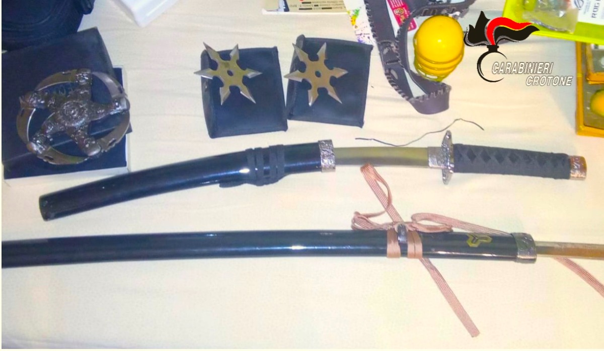 Maltratta i genitori e nasconde armi in casa: arrestato a Pallagorio - Foto Uff. Stampa Carabinieri Crotone 