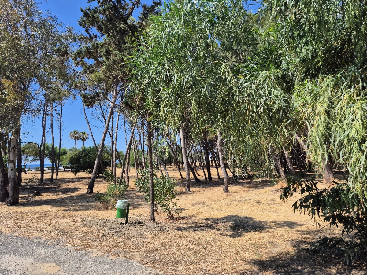 Botricello si prepara all’estate: pineta ripulita e più cestini sul litorale -  Foto Uff. Stampa Comune di Botricello 
