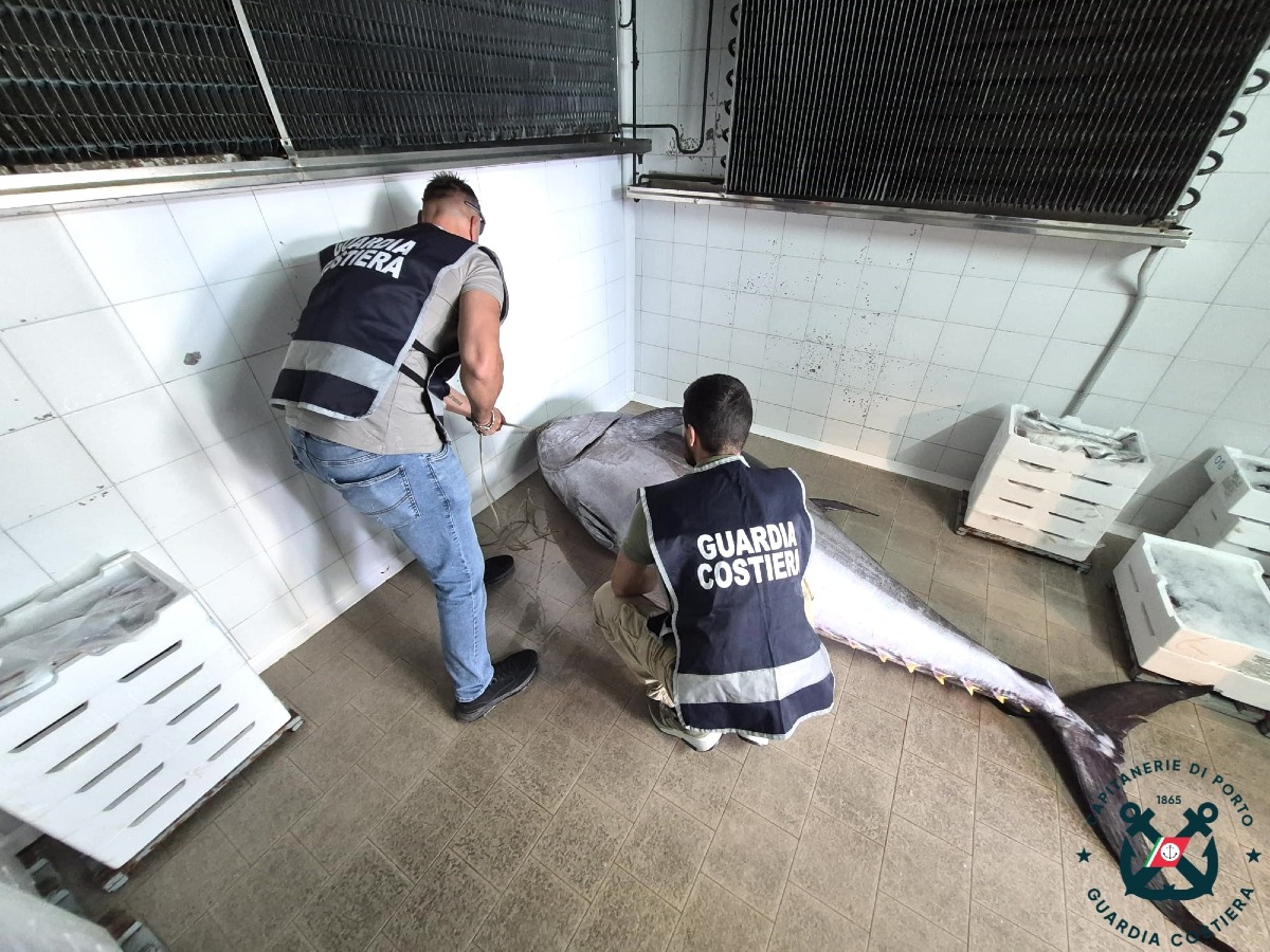 Pesca illegale nel crotonese: maxi sequestro della Guardia Costiera - Foto Uff. Stampa Capitaneria di Porto Crotone 