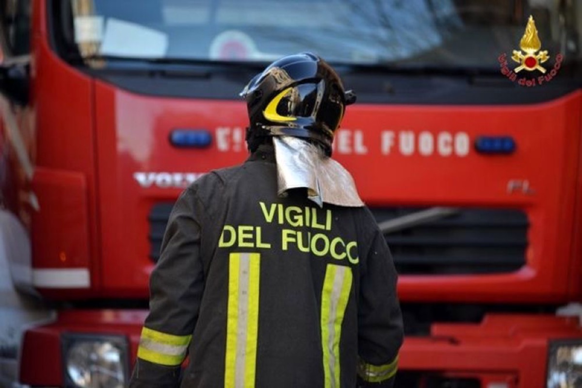 Cavallo sulla Statale 107, tragedia nella notte: muore una donna a Caccuri - Foto: Uff. Stampa Vigili del Fuoco 