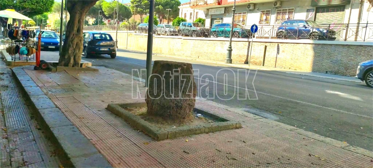 Nei Quartieri di Crotone - Tavolino naturalistico lungo via Nuova Poggioreale - Foto: Redazione