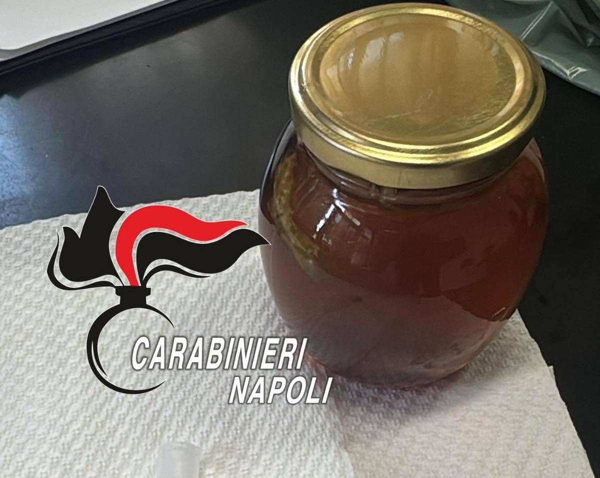 Consumano 'miele da sballo', tre giovani in ospedale: 17enne in rianimazione - 