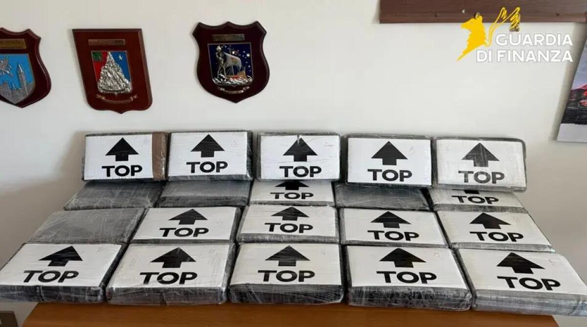 In auto con 22 kg e mezzo di cocaina, un arresto nel Cosentino - 