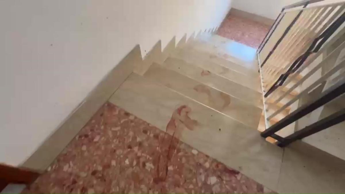 Triplice omicidio a Roma, la fuga disperata del figlio ferito: le impronte nel palazzo - 