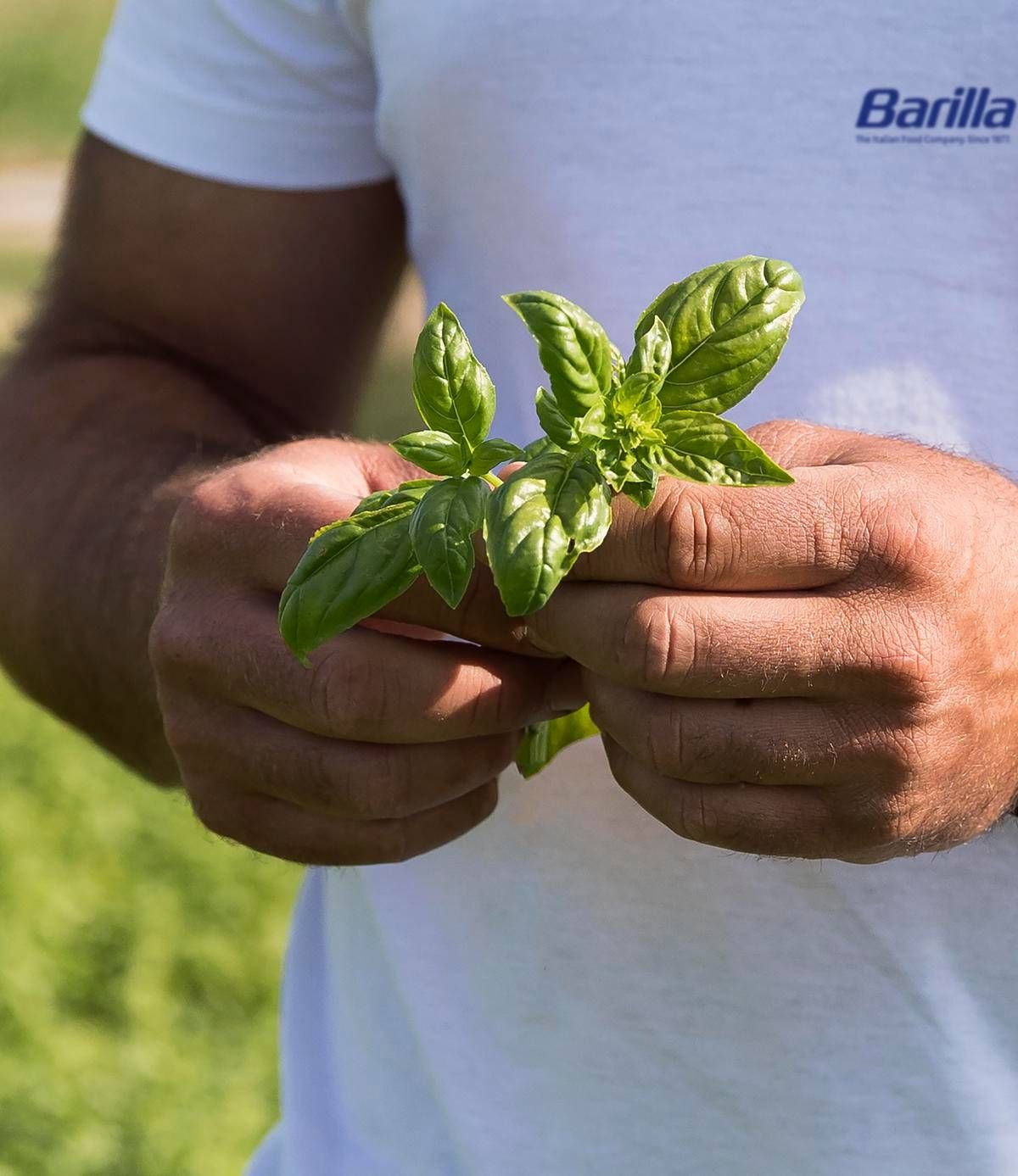 Barilla, nel Rapporto di Sostenibilità le 'storie' di un impegno a favore di ambiente e comunità - 