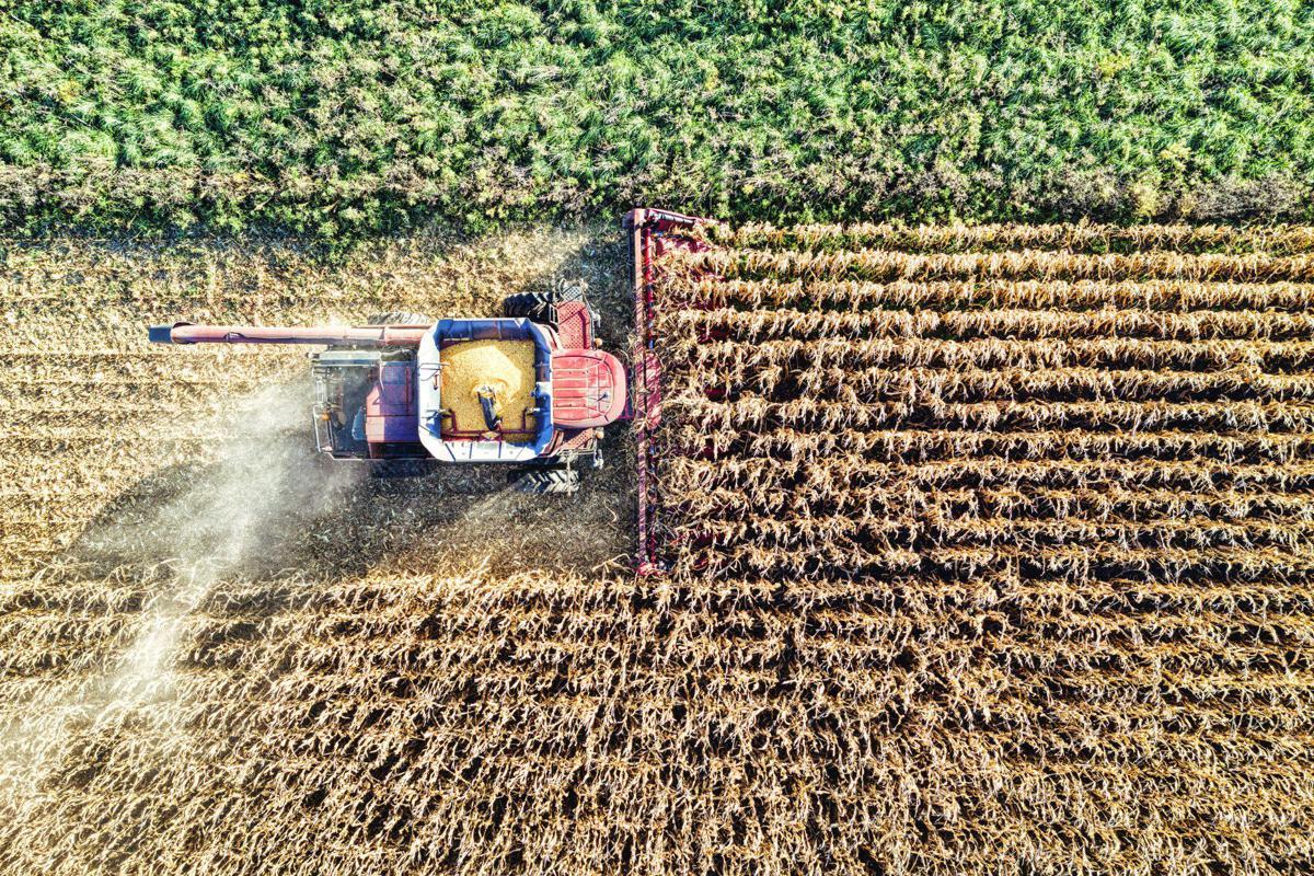 Hendron, Wild Bioscience: "Con nuove tecniche genomiche svolta storica per l’agricoltura europea" - 
