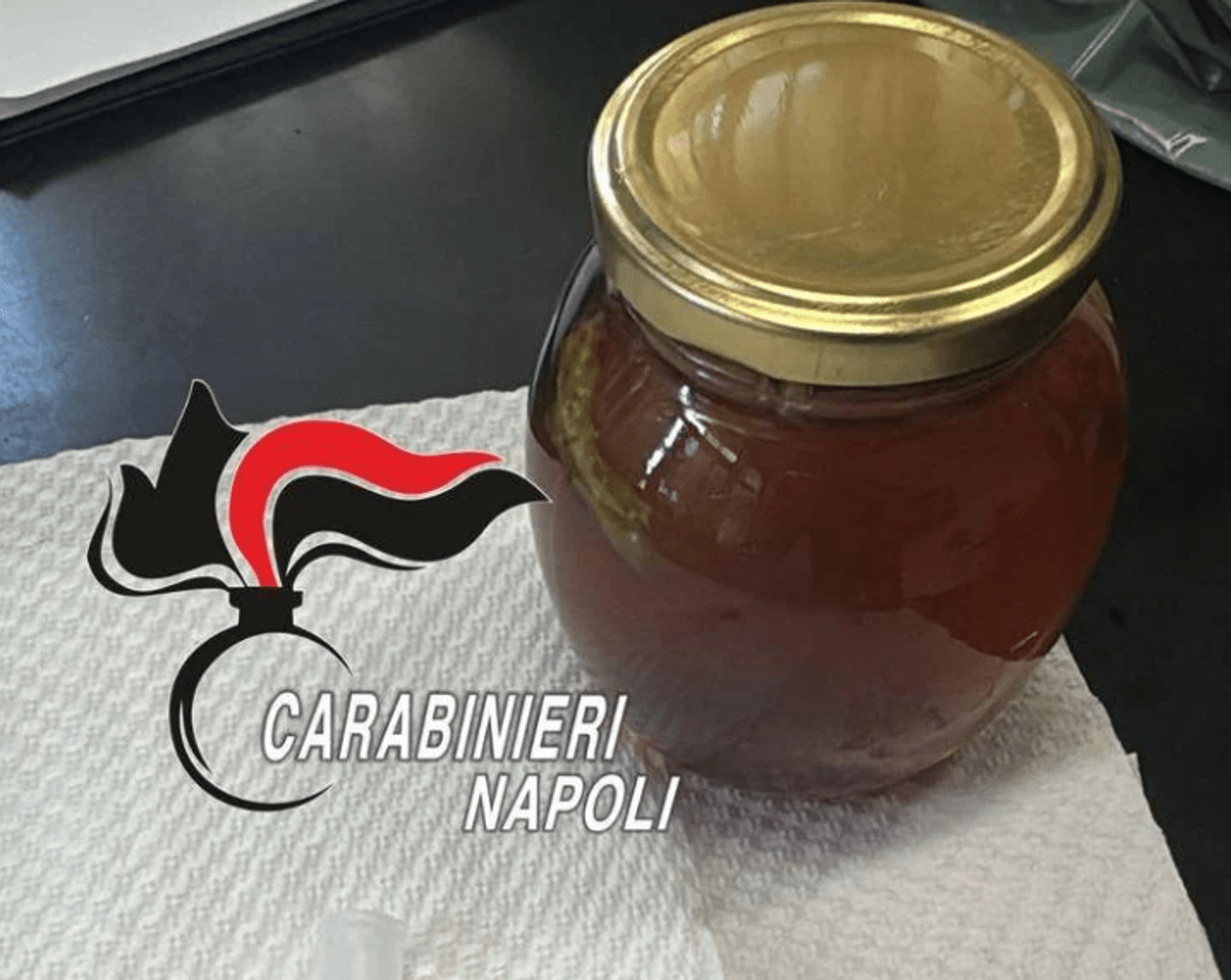 Cos'è il 'miele da sballo', l'esperta: "Thc fino al 90%, può causare psicosi e coma" - 