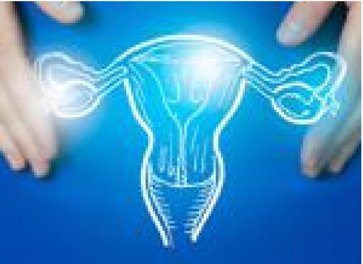 Tumori dell'endometrio, Picardo (Acto Piemonte): "Con dostarlimab trattamenti più efficaci per più donne" - 