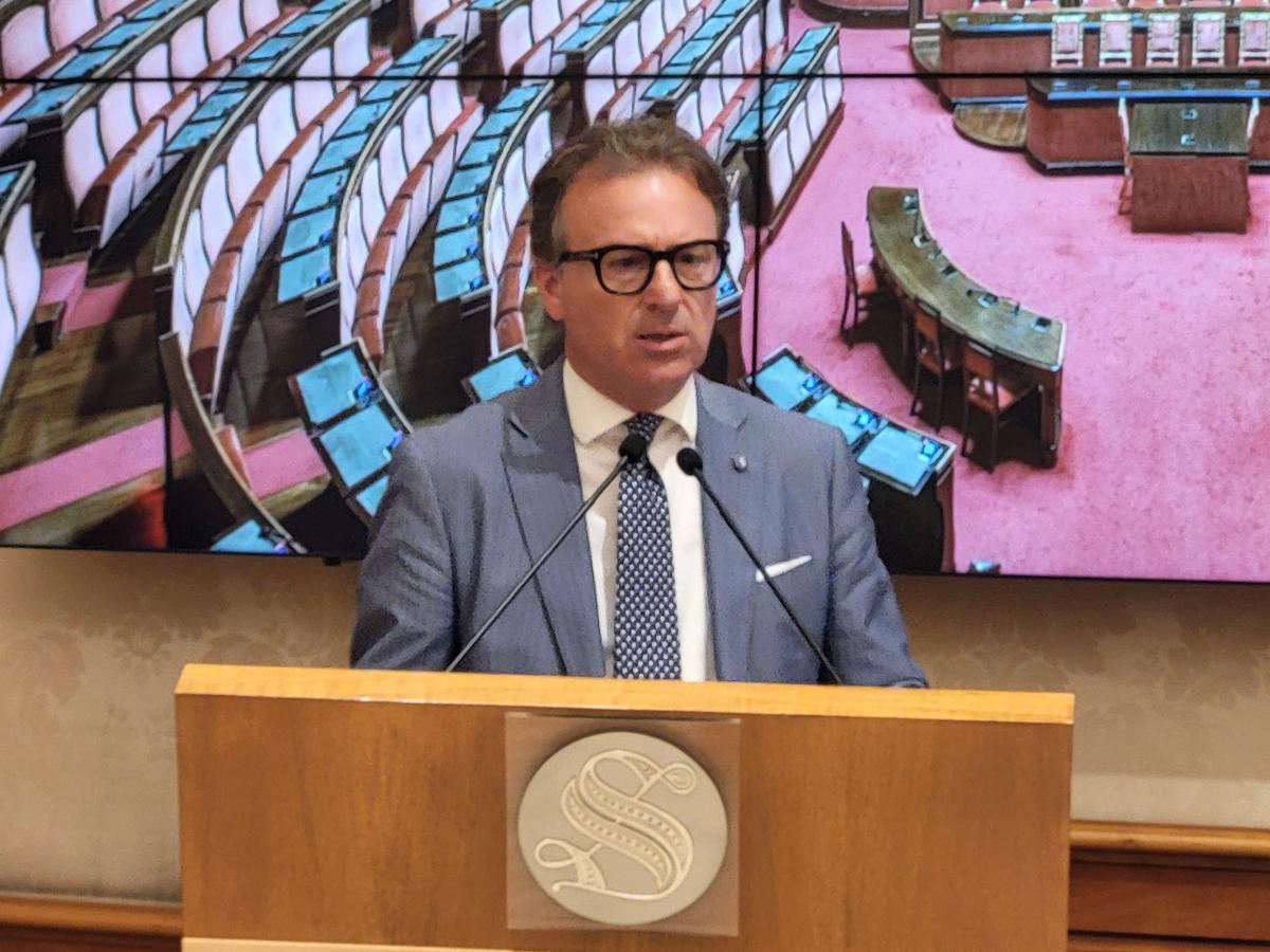 Damiani (Fi): "Collaborazione istituzioni e associazioni fondamentale" - 