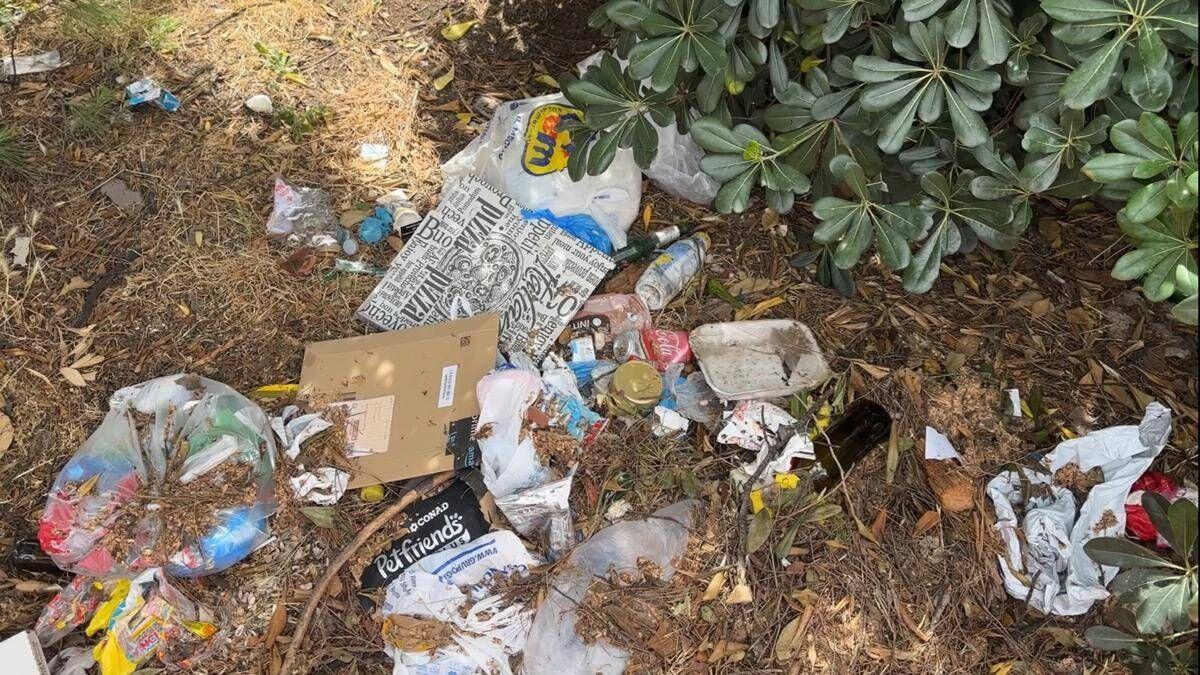 Roma, aiuole e marciapiedi nel degrado intorno alla Nuvola: all’Eur cittadini costretti a camminare fra le auto - 